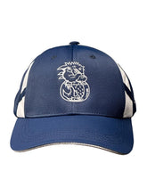 Load image into Gallery viewer, Predatory Fins Shark Logo Hat / Cap