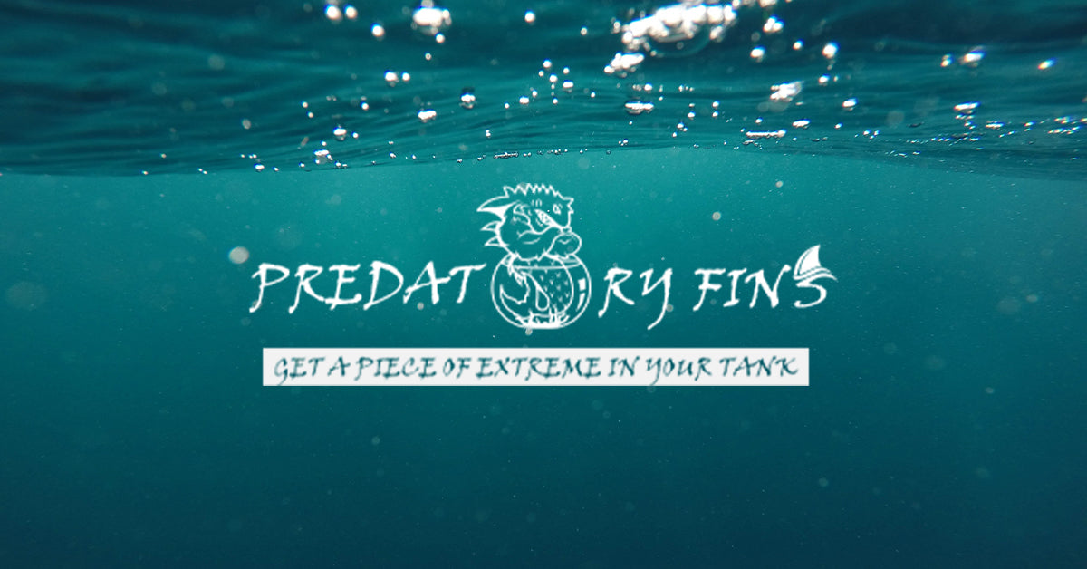 Predatory Fins