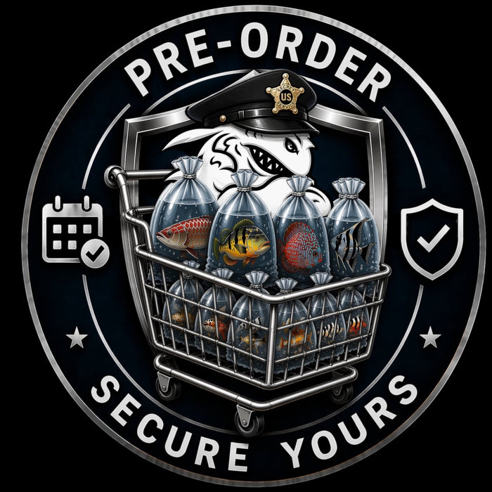 Pre Order