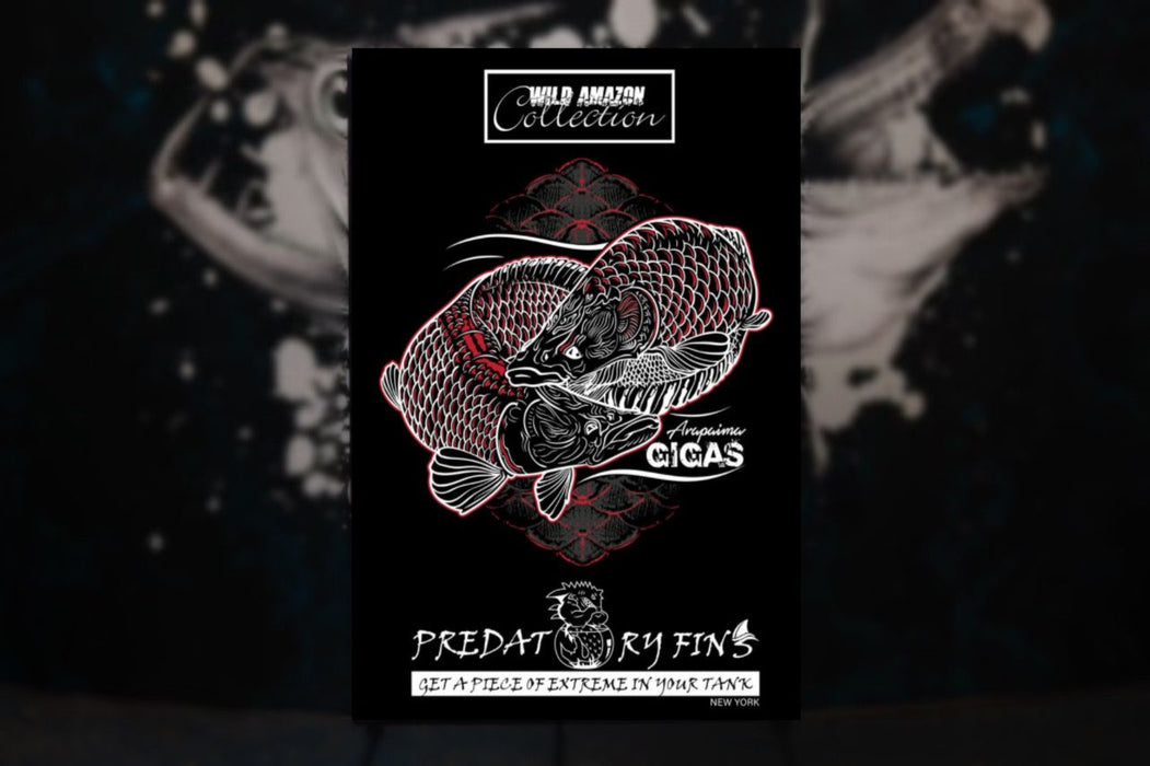 Amazon Collection "Arapaima" Poster